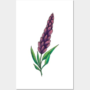 Lavender Posters and Art